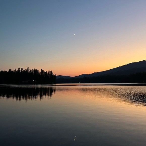 Meet your Posher, Maddie - Picture 1 of 1